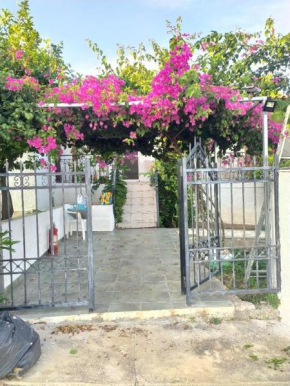 σπίτι - αγρόκτημα - Δ Γεωργά Χατζηράση οδός Χατζηράση